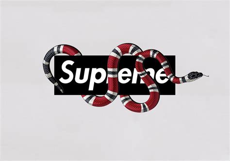 supreme gucci snake logo